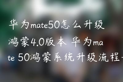 华为mate50怎么升级鸿蒙4.0版本 华为mate 50鸿蒙系统升级流程