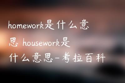 homework是什么意思 housework是什么意思